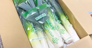 矢掛町産「満点リーキ」の出荷が今季もスタート!受験生を応援する西洋ネギの魅力