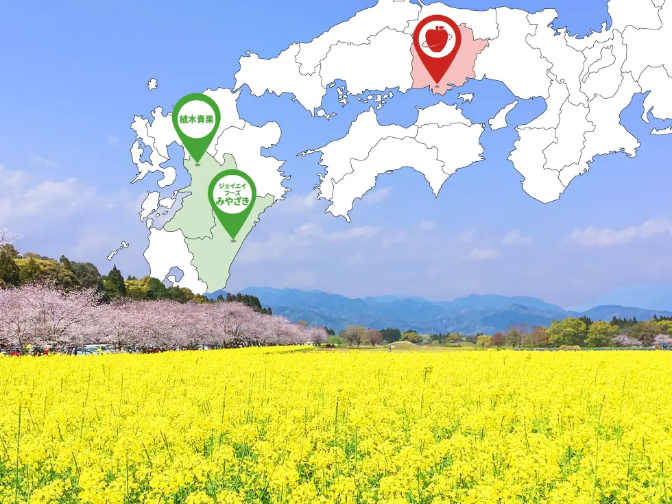 四季折々の花々が楽しめる西都原古墳群