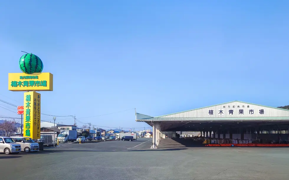 熊本県の植木青果