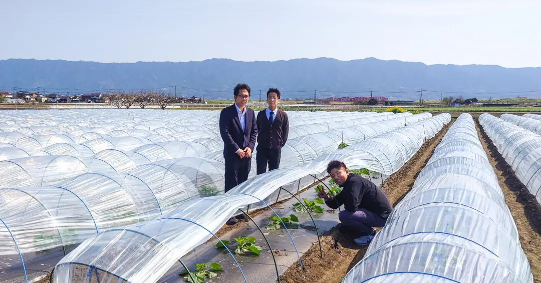 JAみいを訪問｜ズッキーニ・レタスの商談と圃場視察を実施