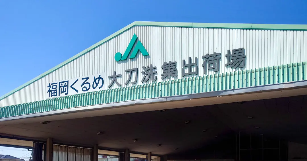 JA福岡くるめ みい地区を訪問｜小松菜・ズッキーニなど圃場視察・商談を実施