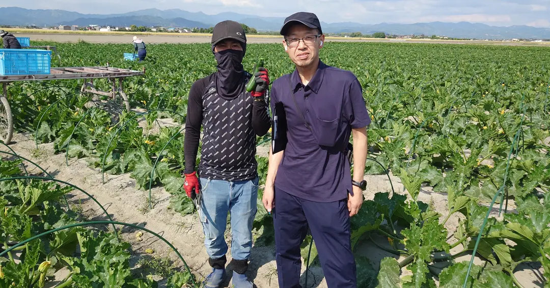 下関・福岡みい地区にてサンチュ・ズッキーニなどの商談と圃場視察を実施