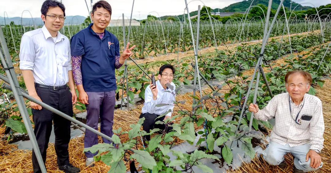 JA福岡くるめ 大刀洗集出荷場を訪問　ズッキーニ・なすの生育状況を確認